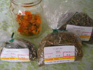 Herbs for salve