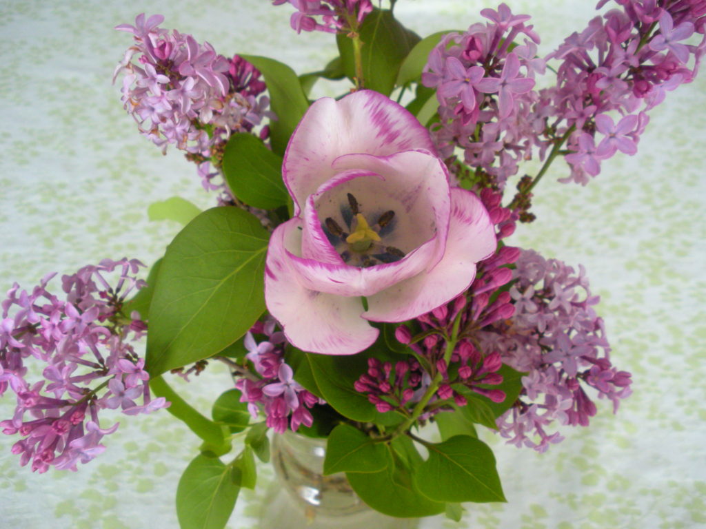 Lilac Bouquet