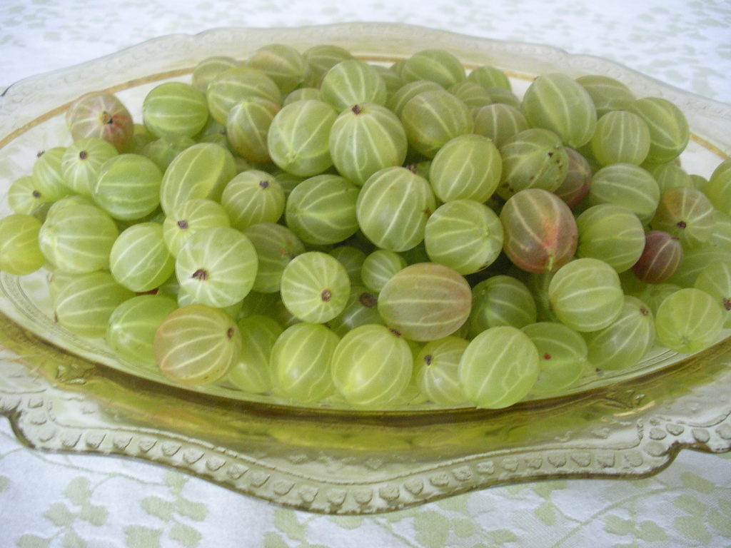 gooseberries