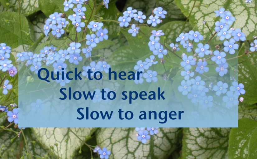 Slow to Speak