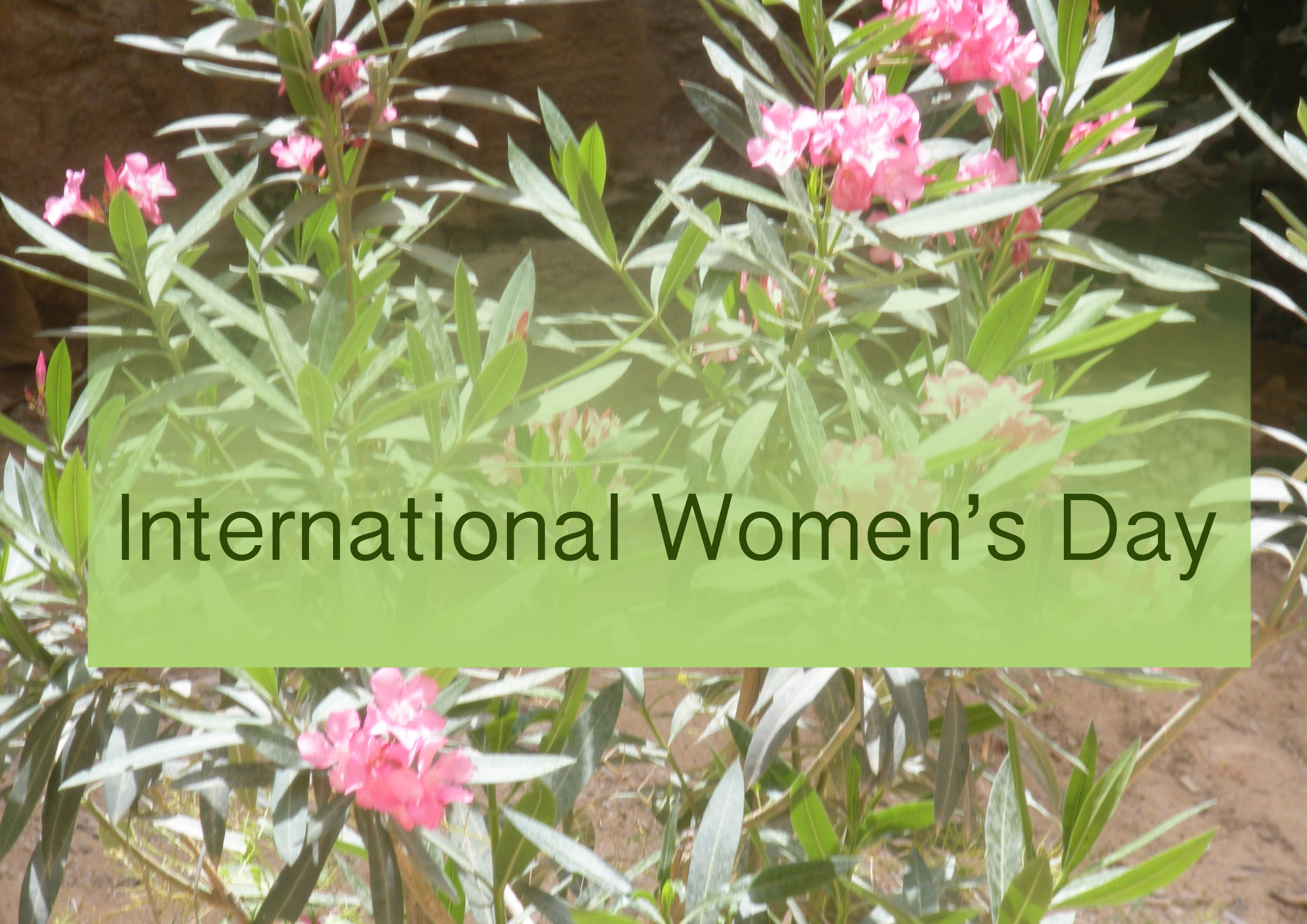 Gratitude on International Women's Day