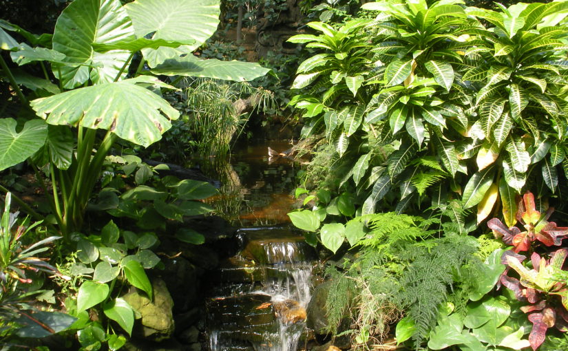 Wichita Zoo