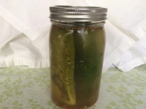 lacto-fermented cucumbers