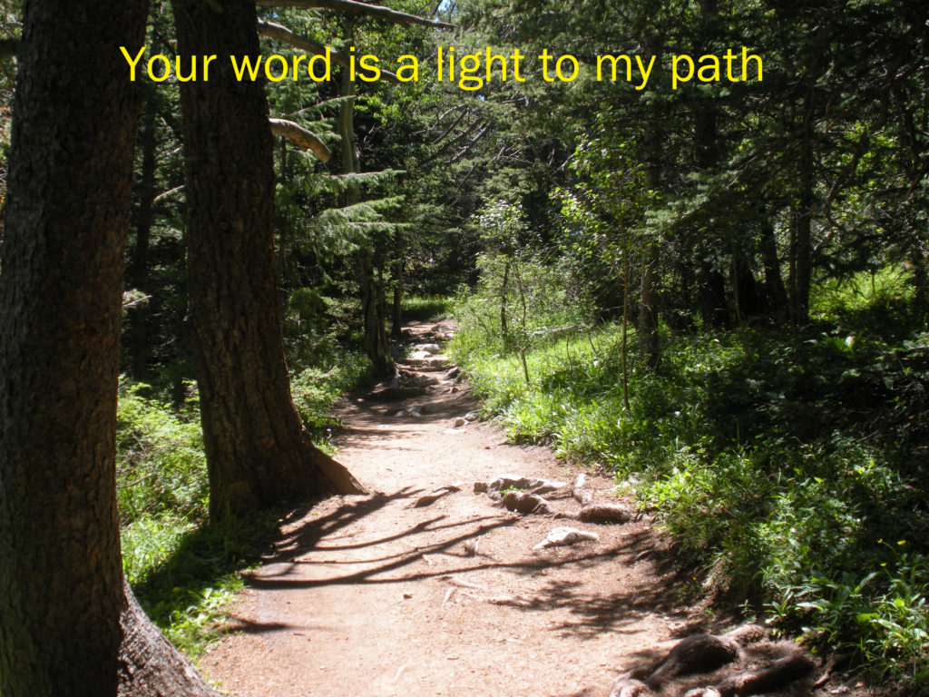 Your Word is a lamp to my feet . . .