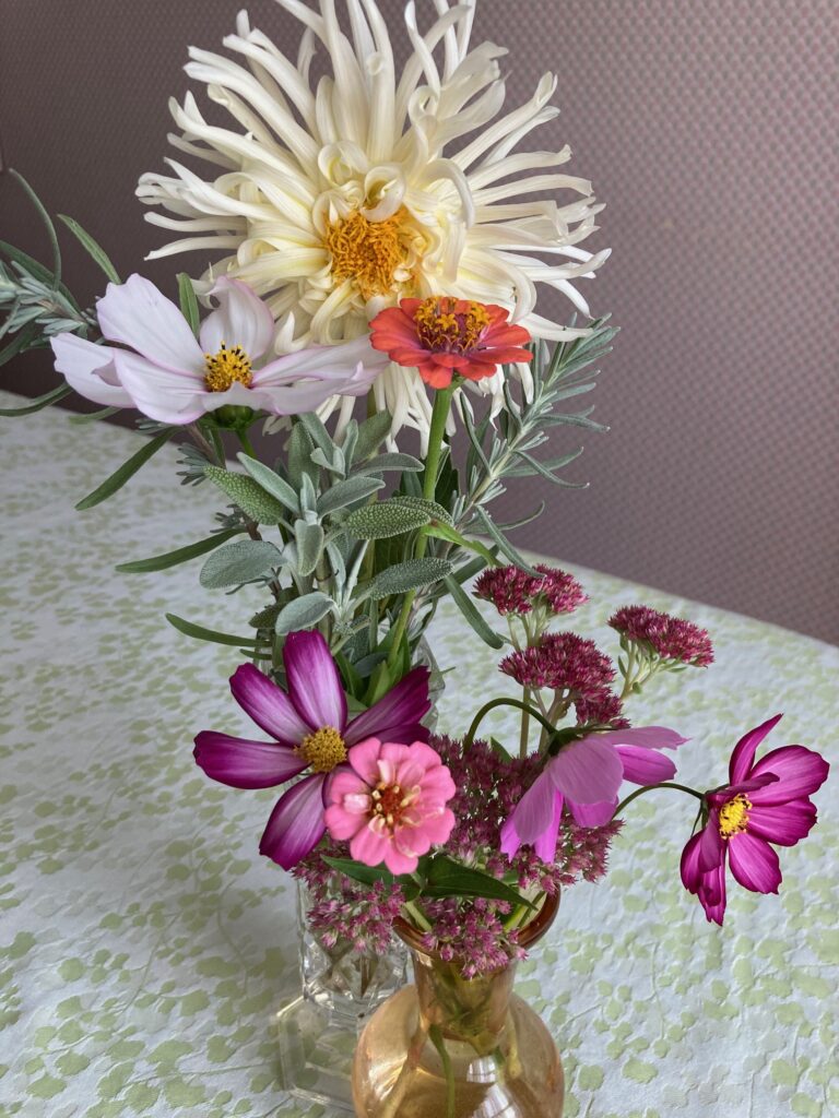 Fall flowers