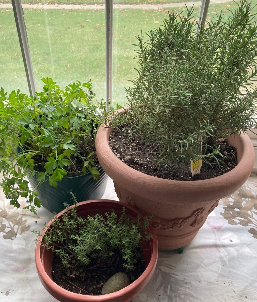 Parsley, Rosemary and Thyme