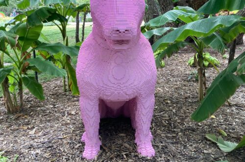 Lego Art in Wichita Botanical Garden