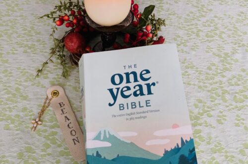 One year Bible