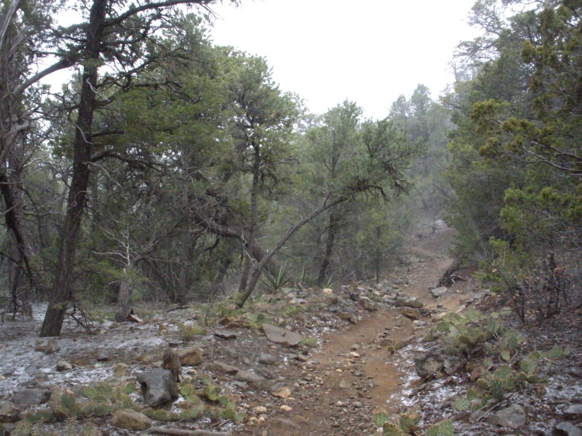 Lost in New Mexico