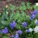 Springtime