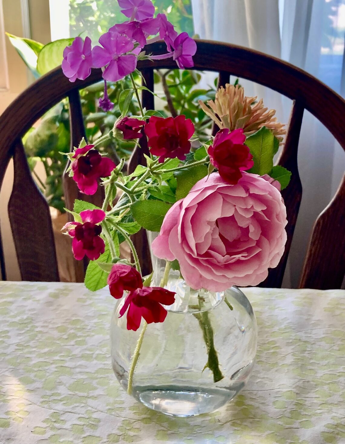 Garden News
