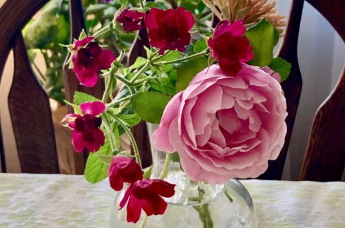 Garden News