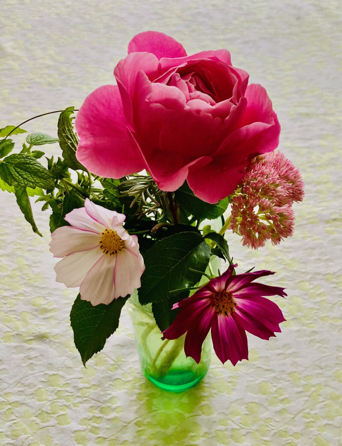 the Fall Rose