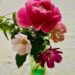the Fall Rose